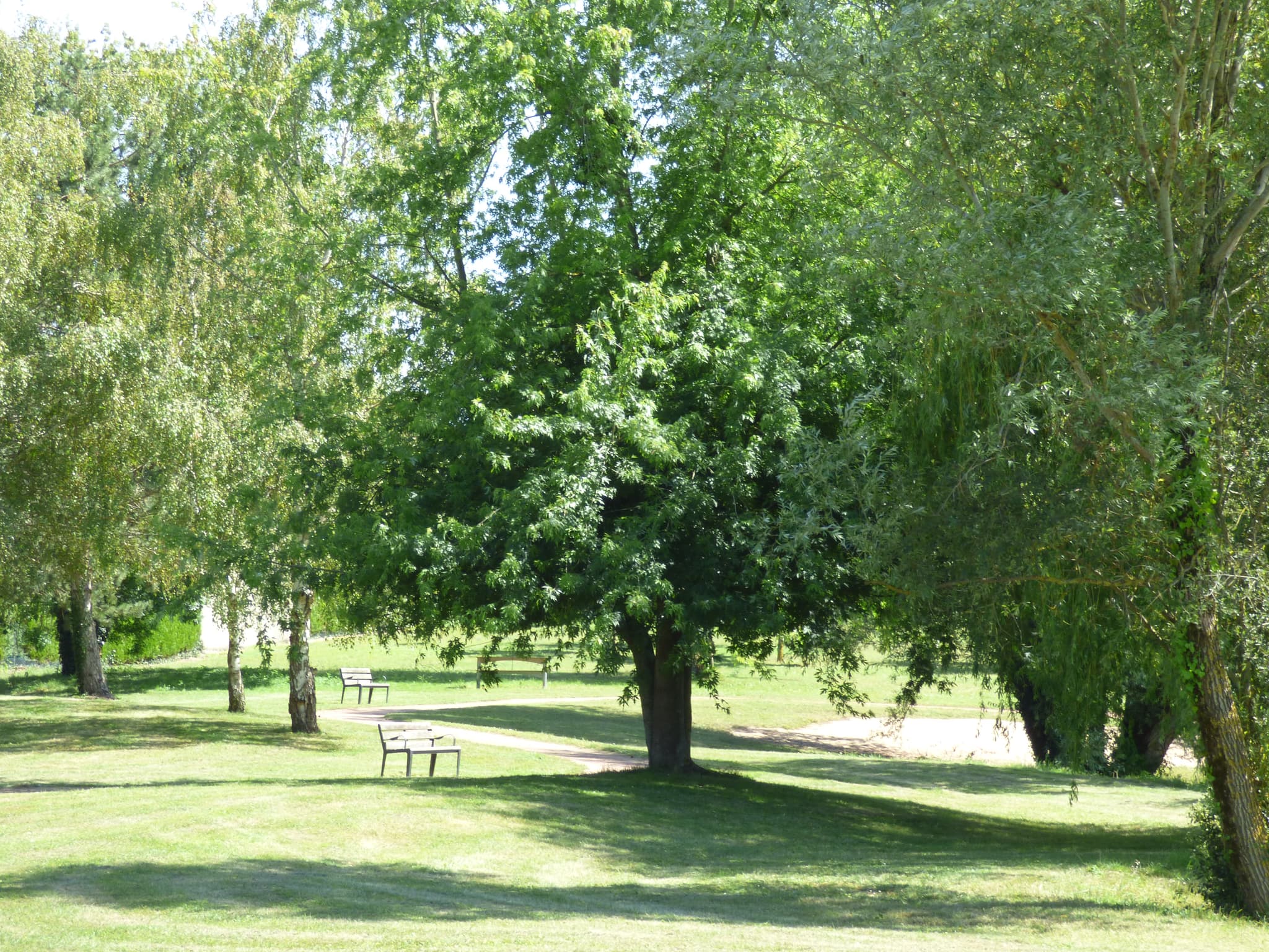 P1050094