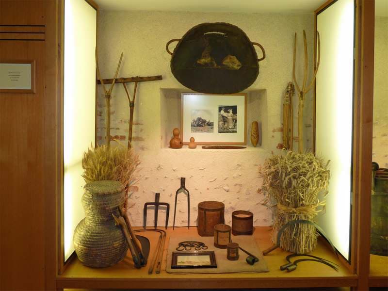vitrine musée de Sologne