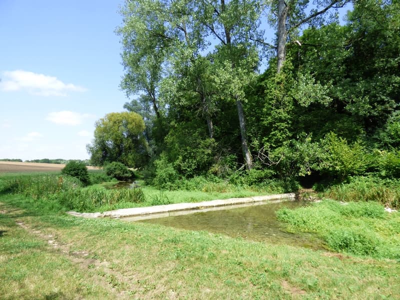 Les sources de la Théols