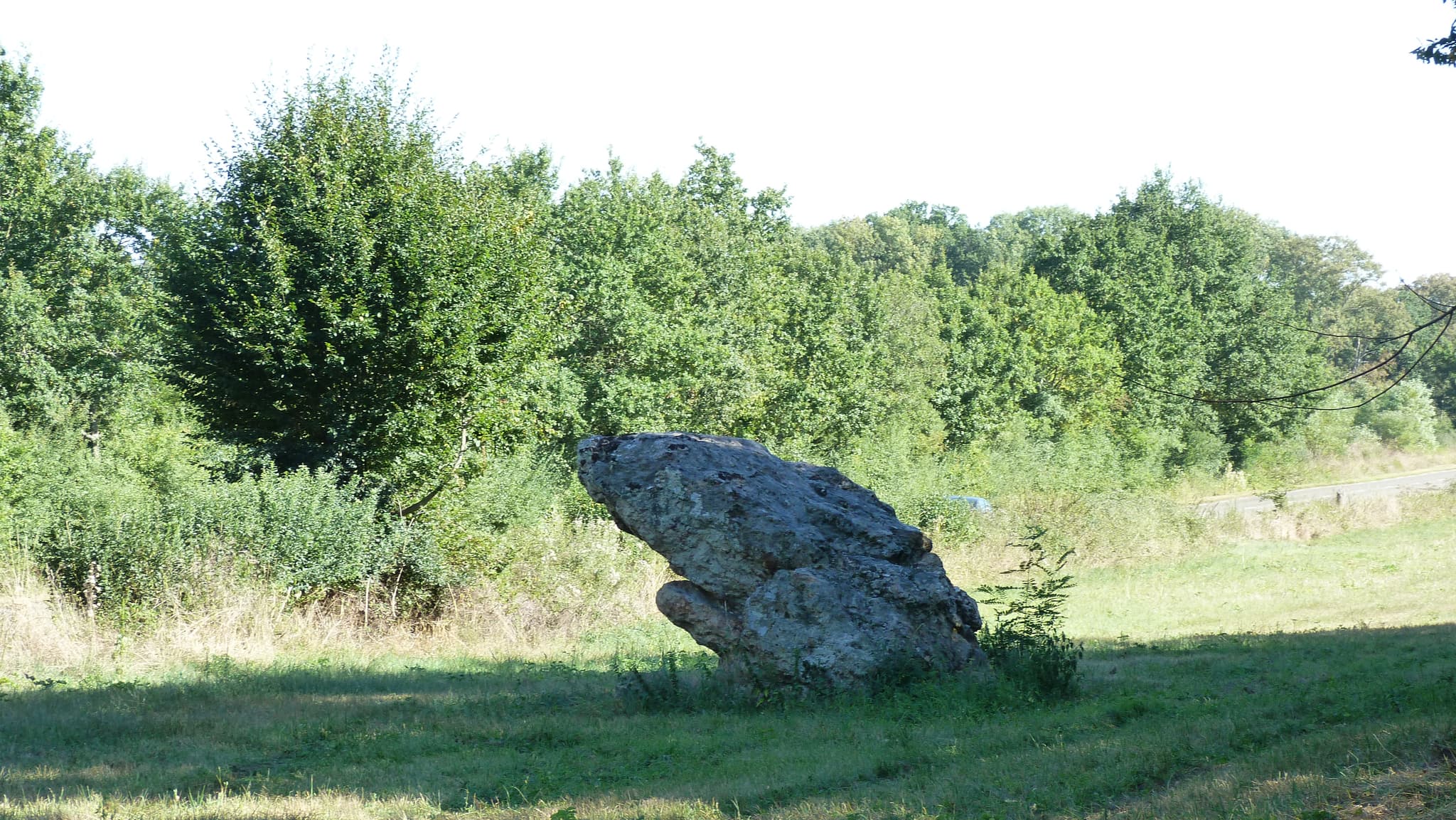 P1090174
