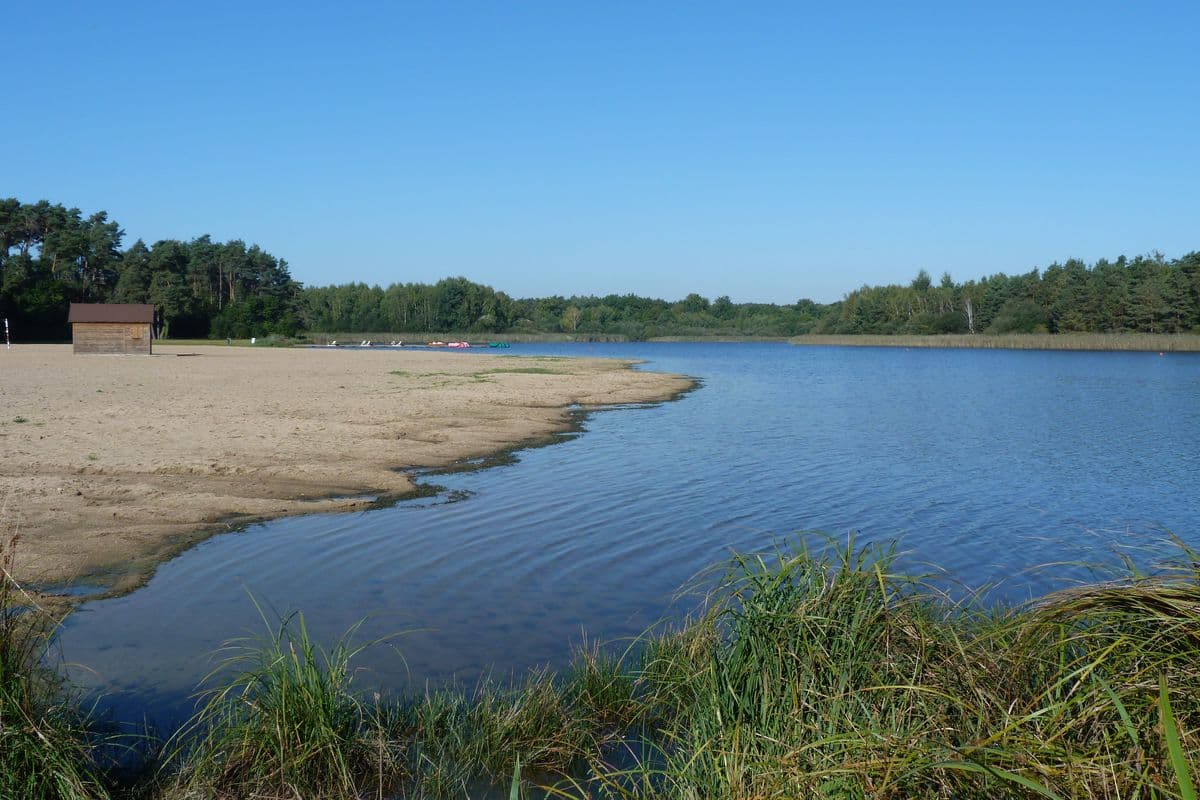 Etang de la Vallée