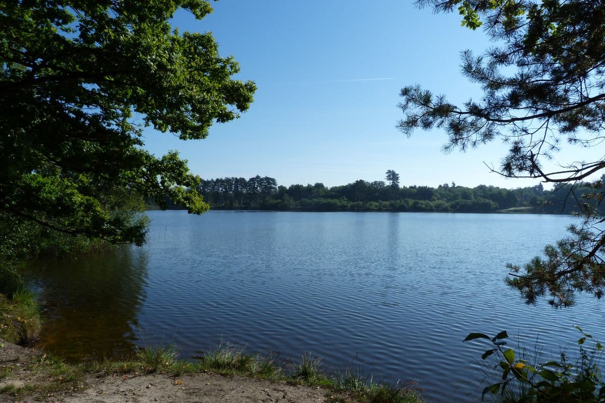 Etang de la Vallée