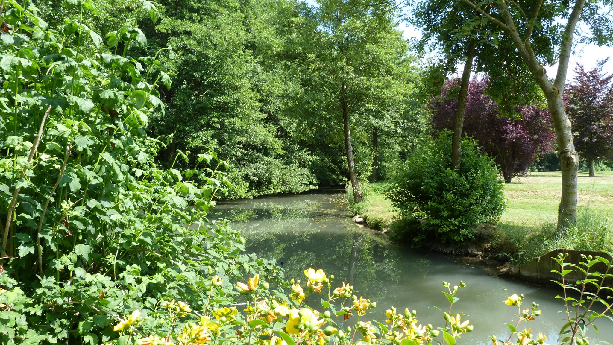 Rivière à Autry-le-Châtel