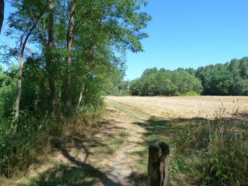 Bonny sur Loire - Les Iles de Bonny