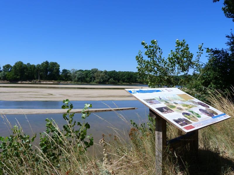 Bonny sur Loire - Les Iles de Bonny