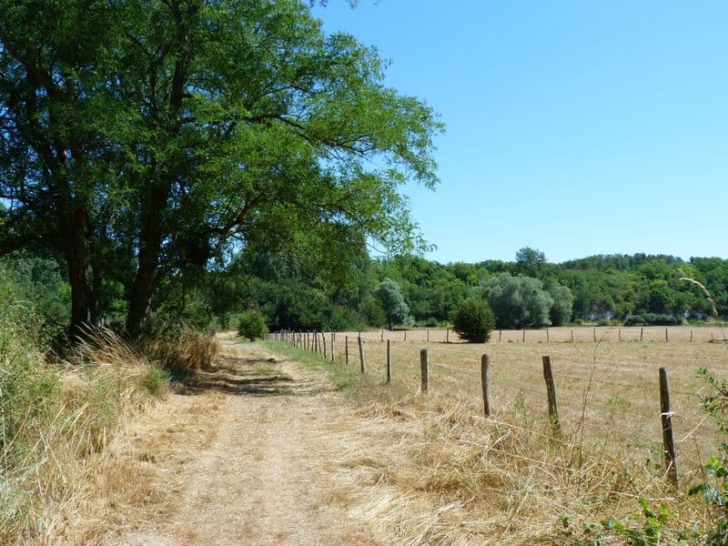 Bonny sur Loire - Les Iles de Bonny