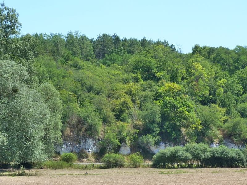 Bonny sur Loire - Les Iles de Bonny