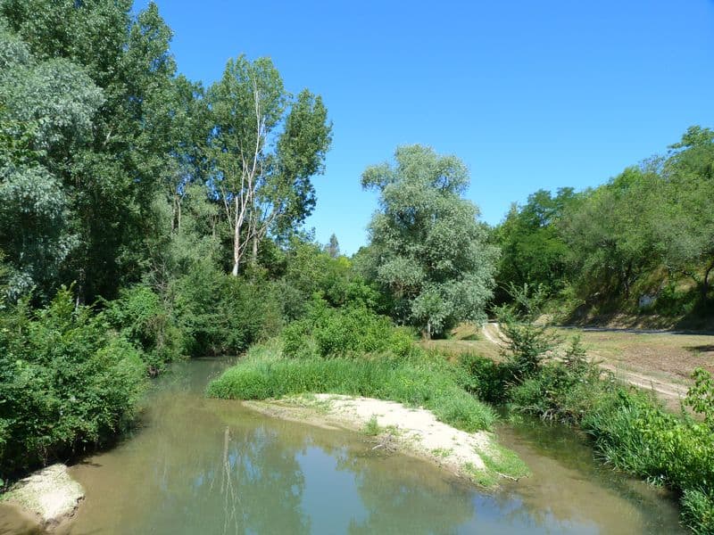 Bonny sur Loire - Les Iles de Bonny