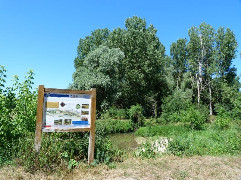 Bonny sur Loire - Les Iles de Bonny