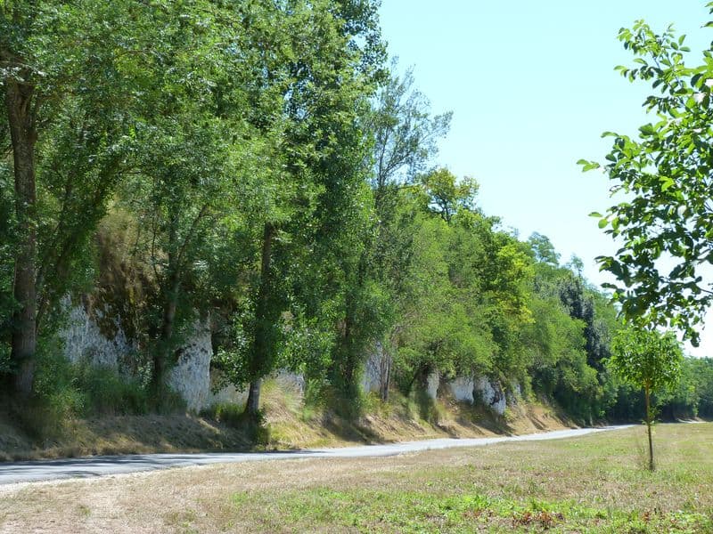 Bonny sur Loire - Les Iles de Bonny