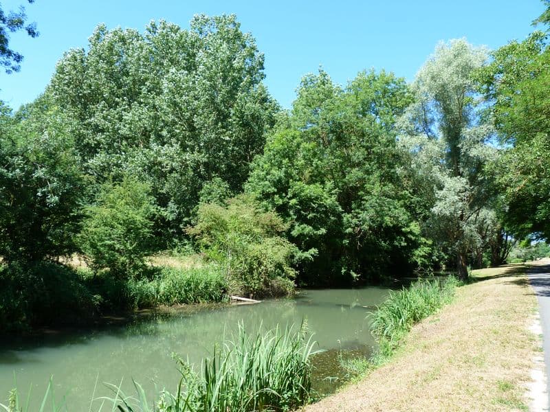 Bonny sur Loire - Les Iles de Bonny