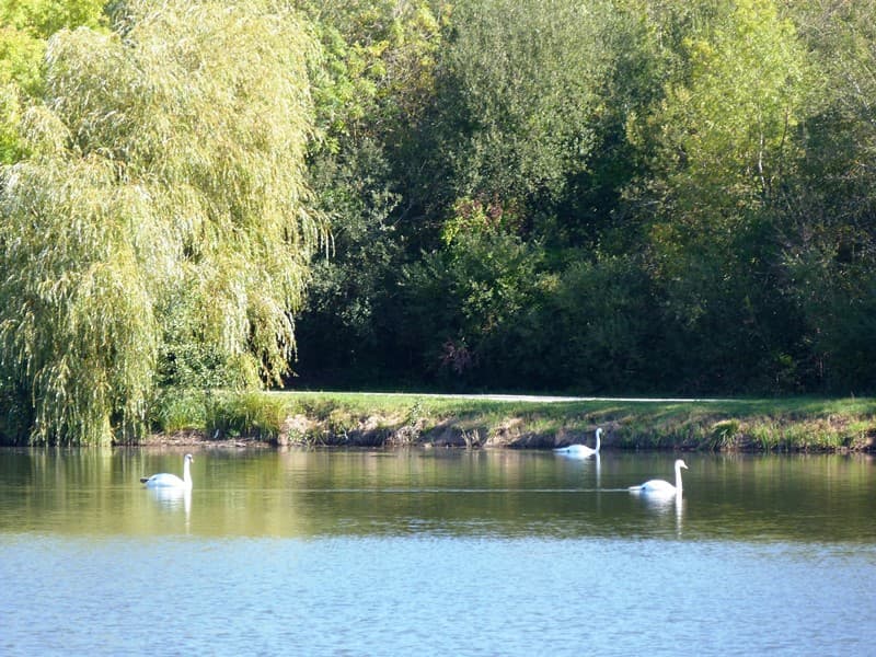 Etangs de Dordives