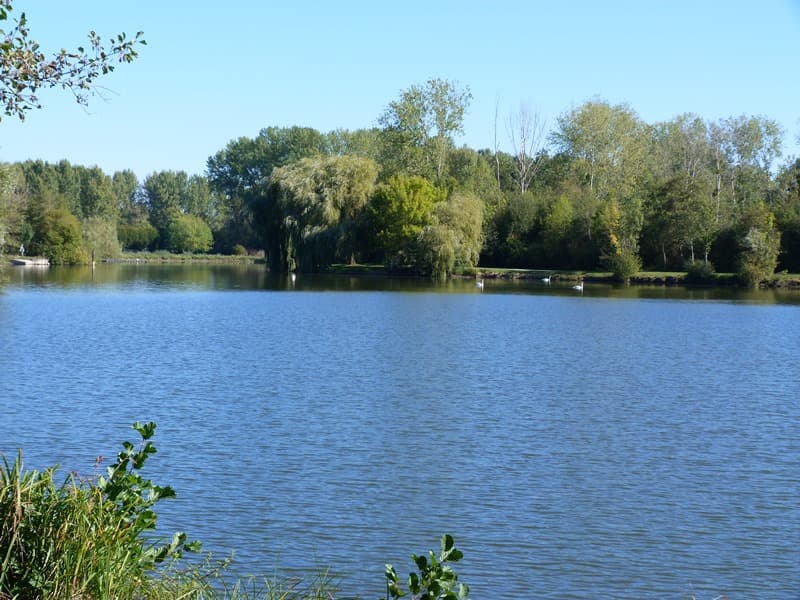 Etangs de Dordives