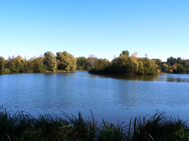 Etangs de Dordives