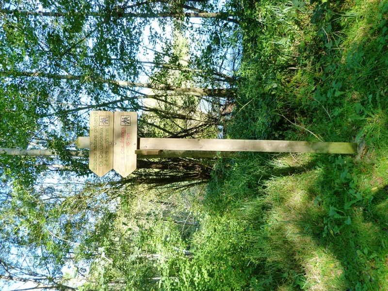 Etangs de Dordives