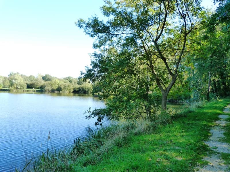Etangs de Dordives