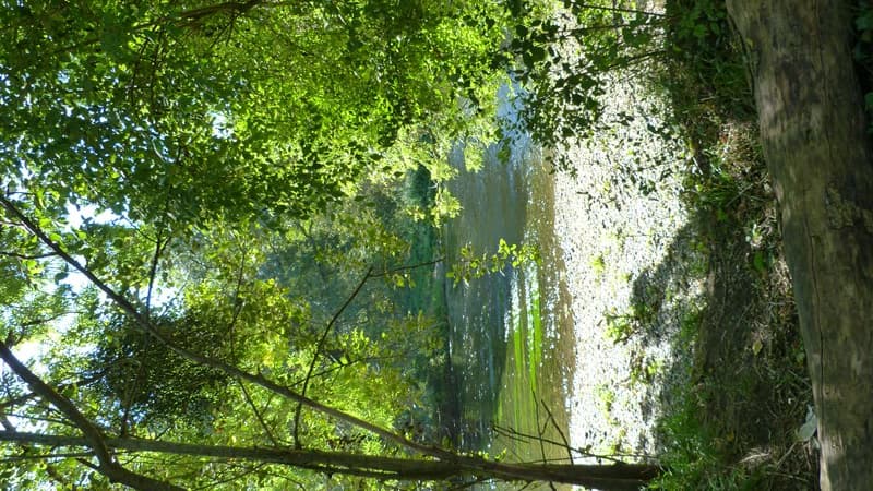 Espace naturel de Cercanceaux