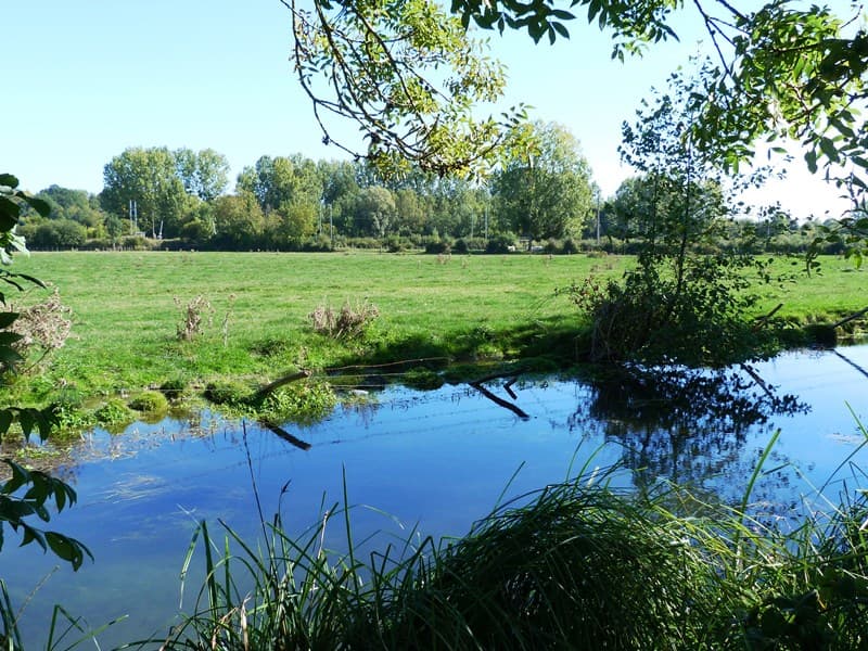 Espace naturel de Cercanceaux