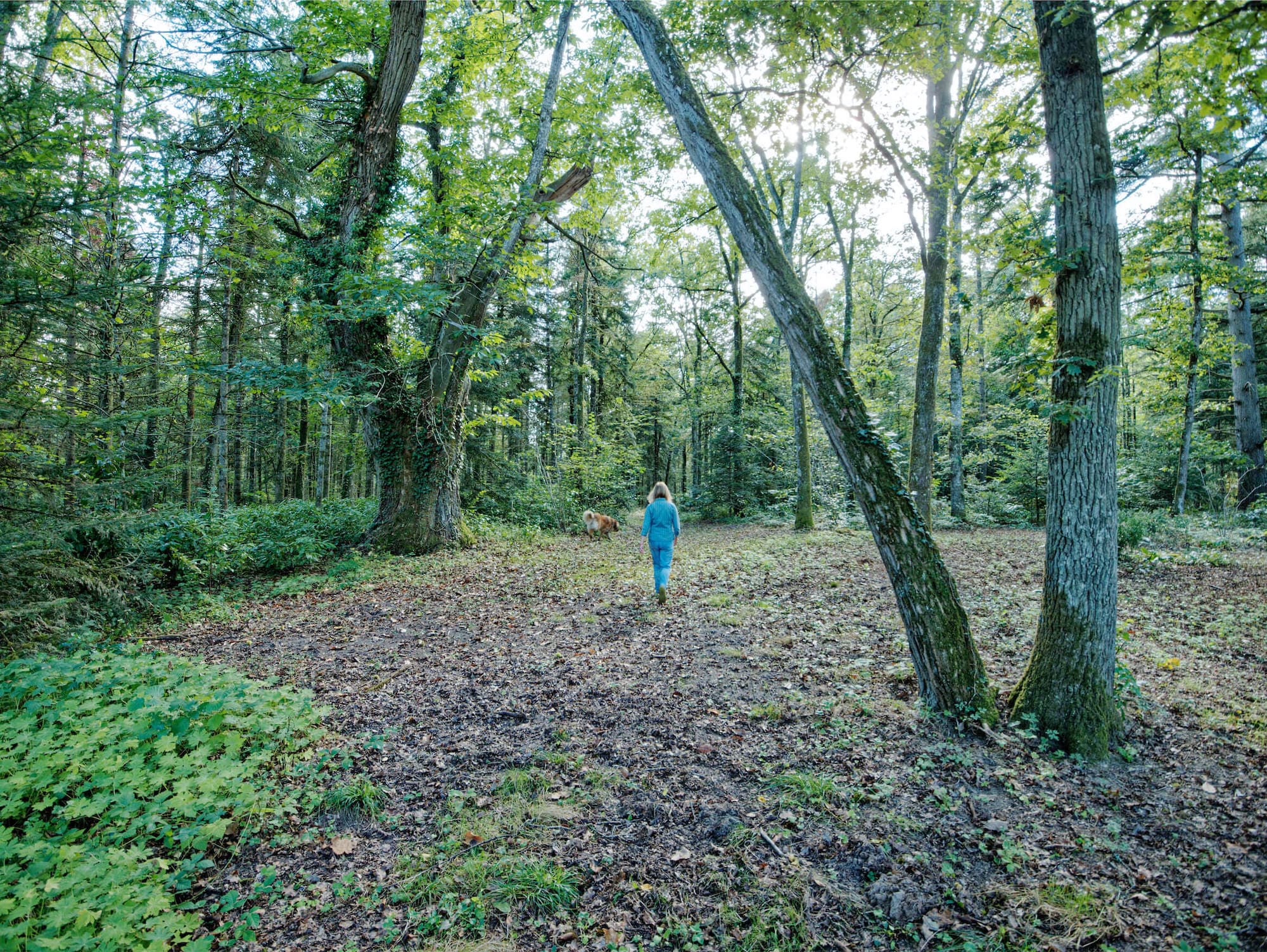 promenade dans la propriété
