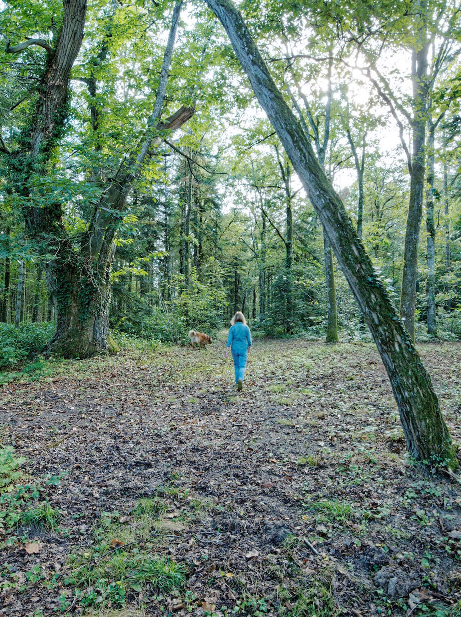 Promenade dans la propriété