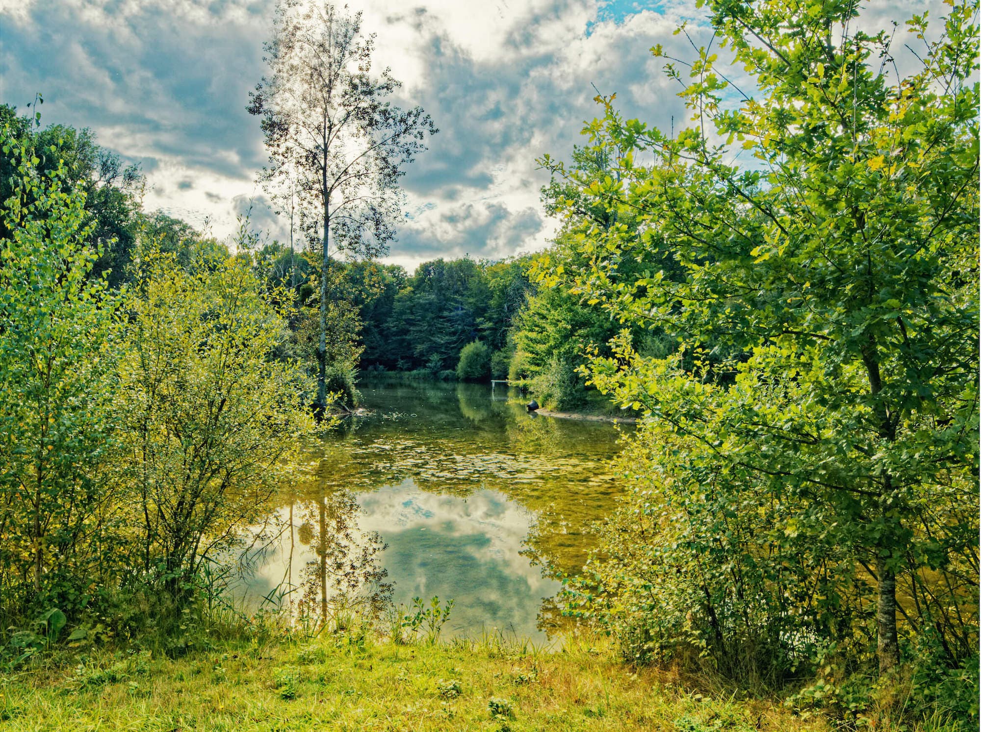 Etang