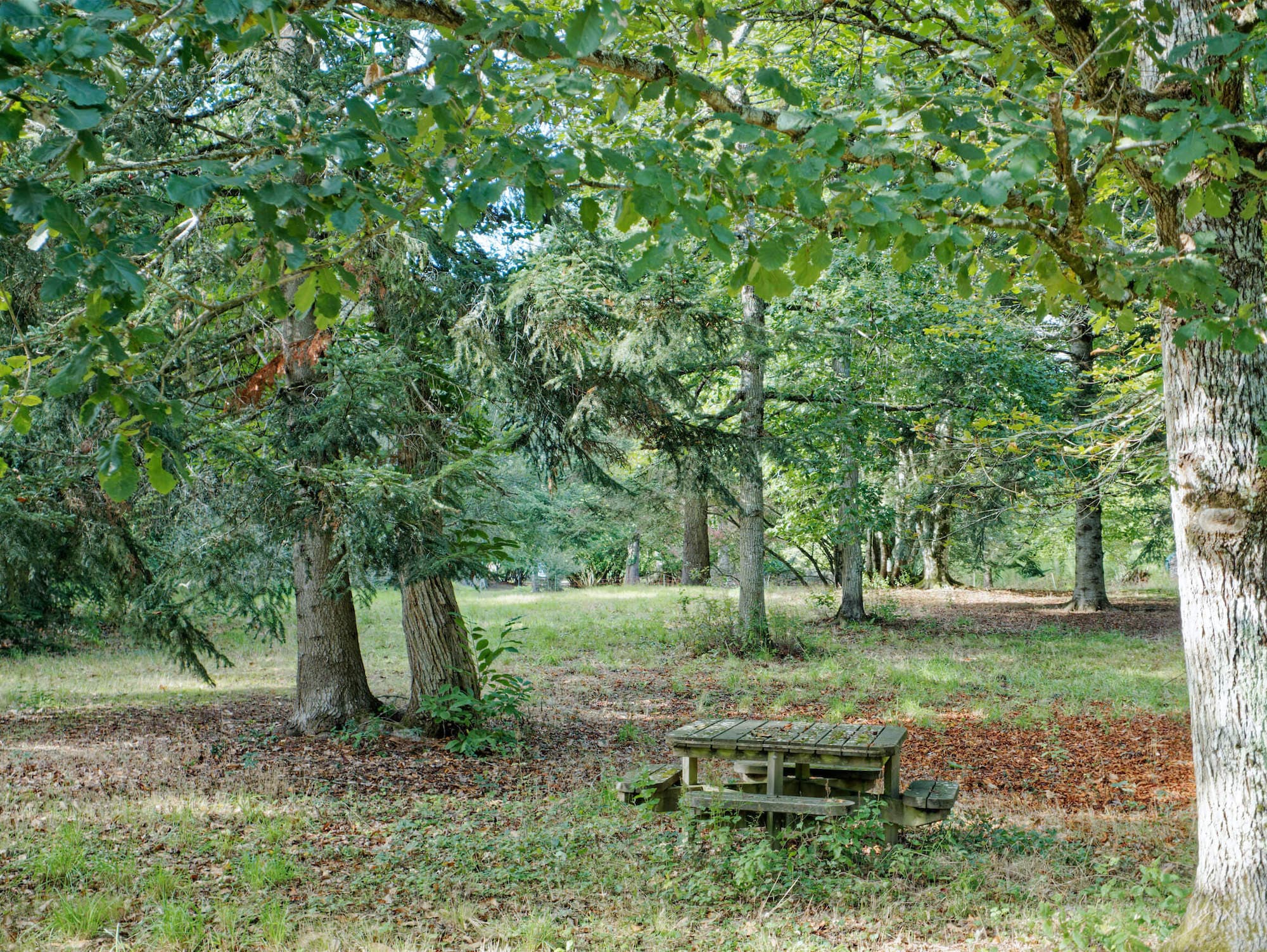 Table de chasse