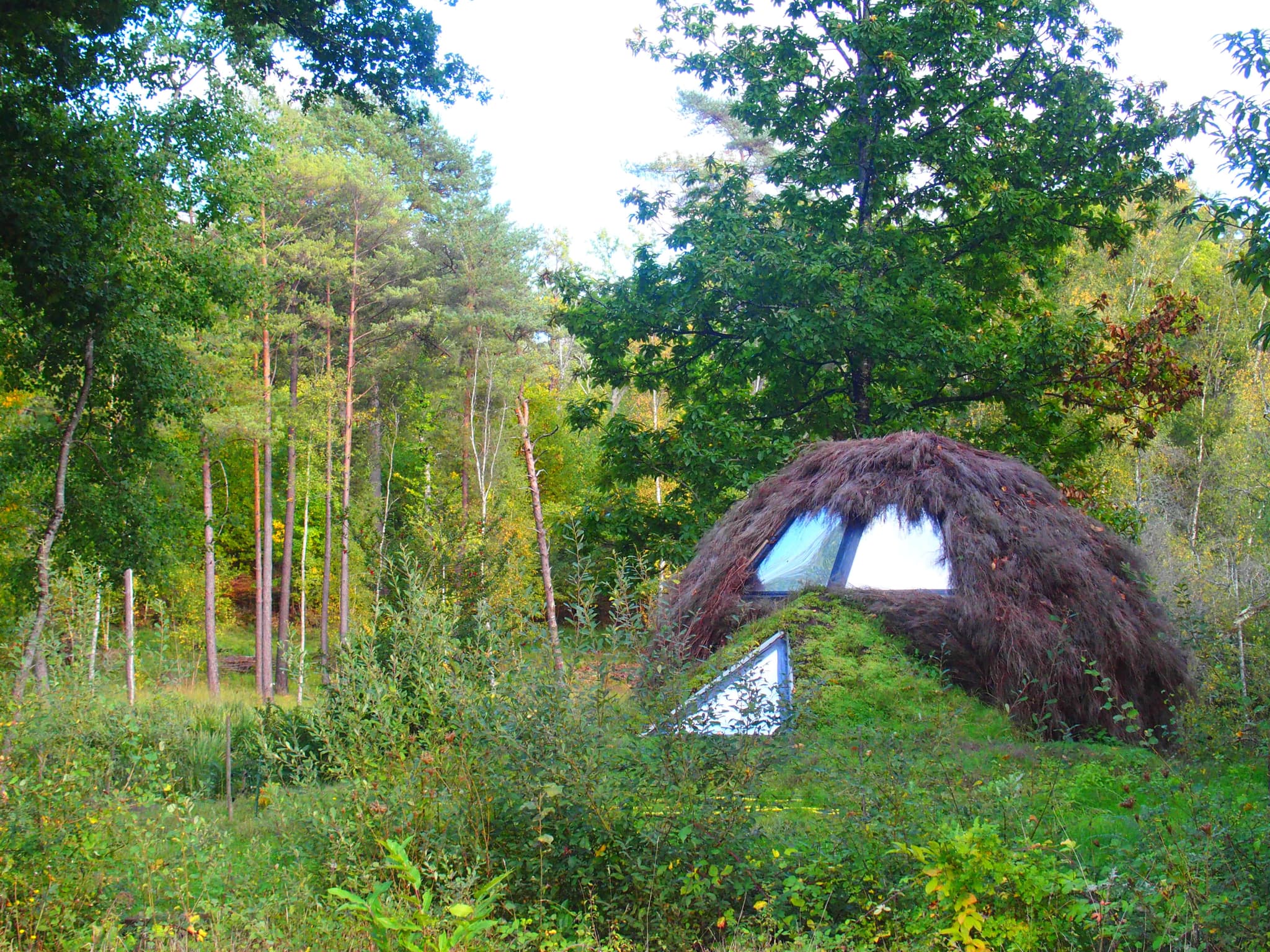 Cul de loup habitat de hobbit