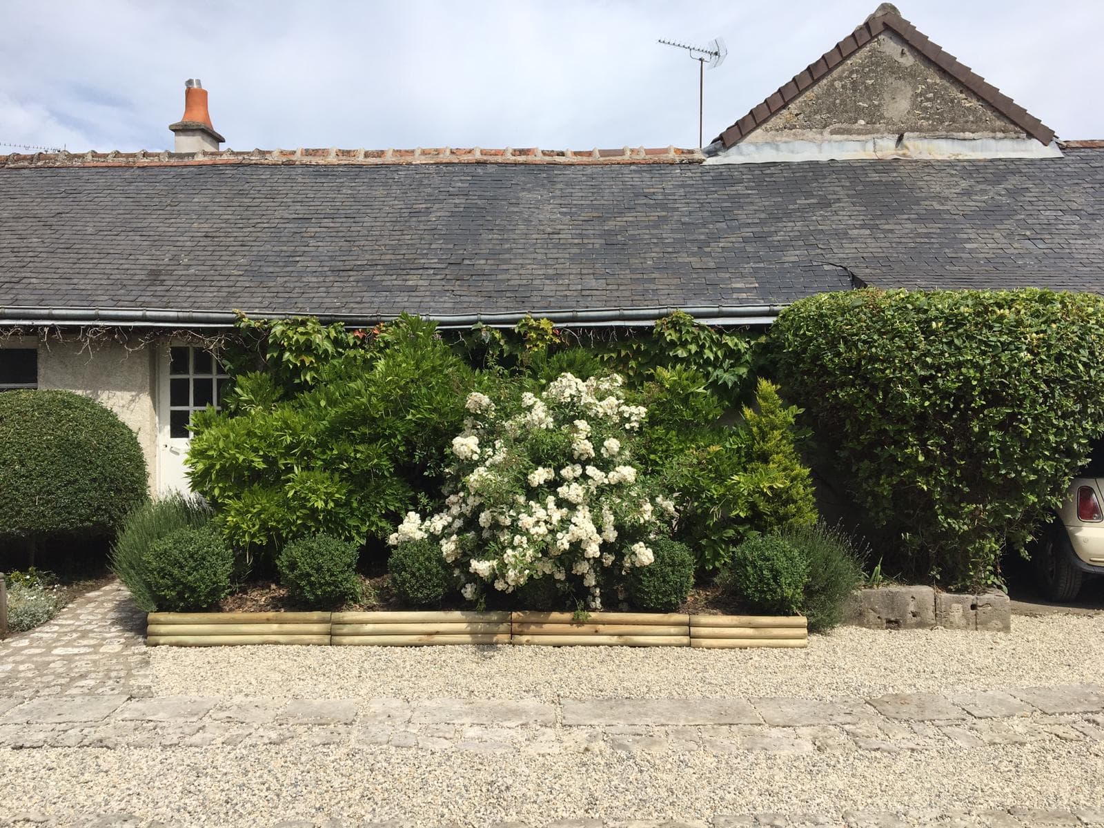 la cour fleurie