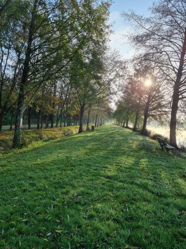 Promenade étang
