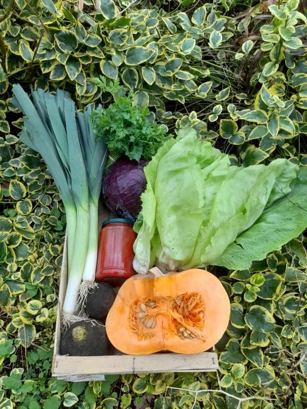Panier