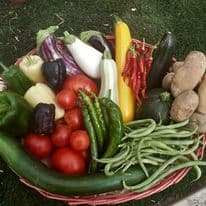 Panier légumes