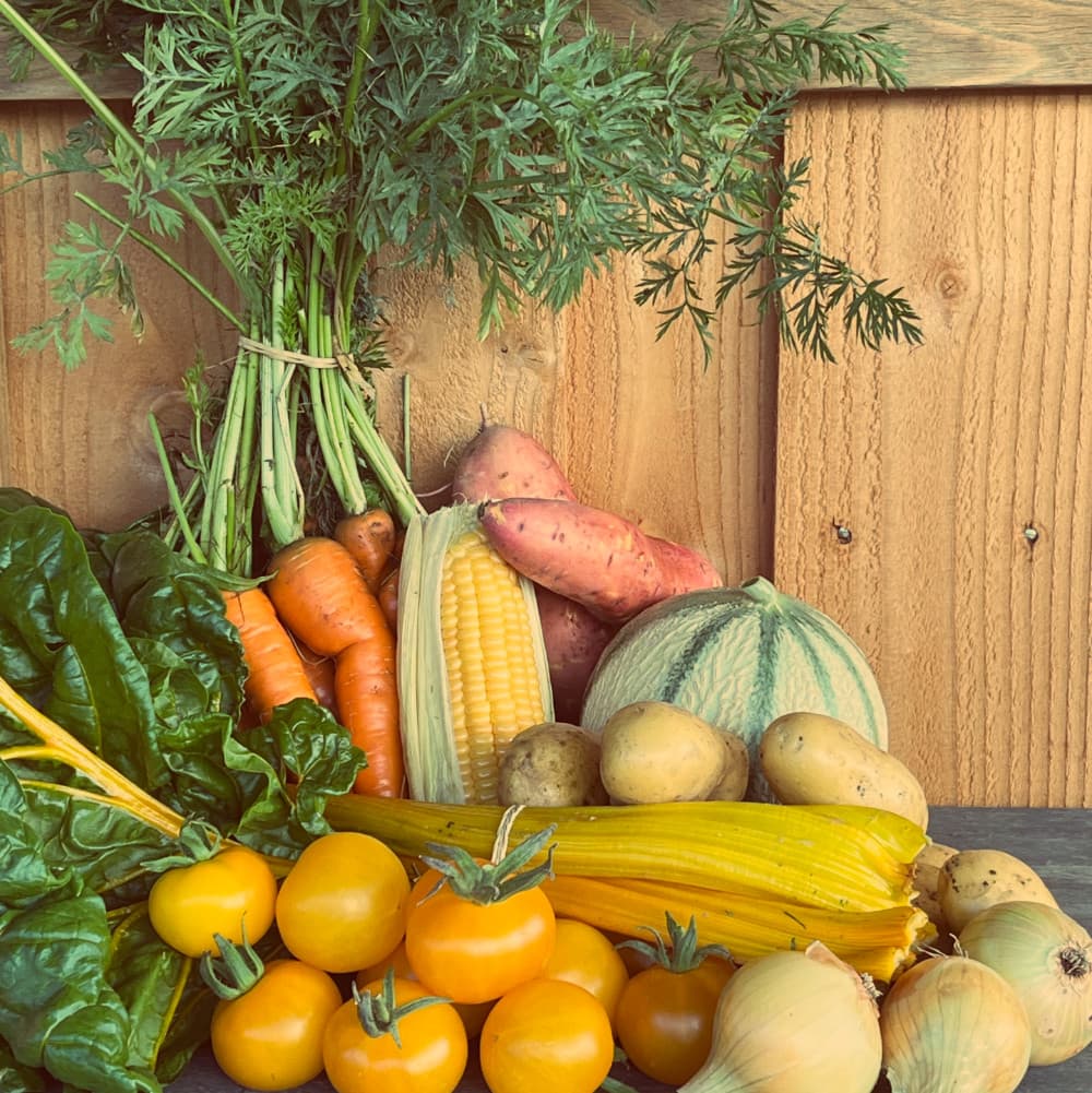 Panier légumes