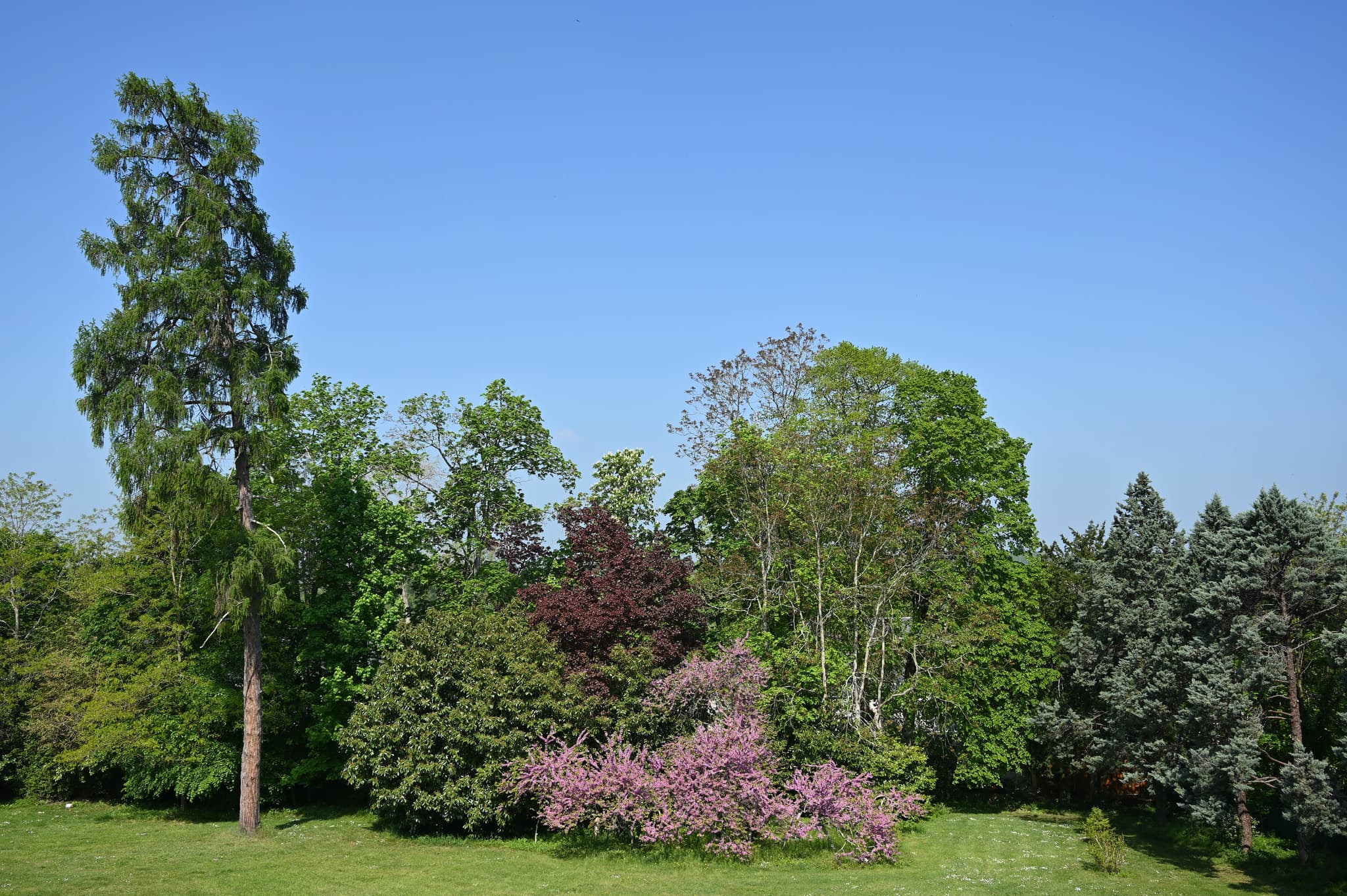Parc-cote-Nord