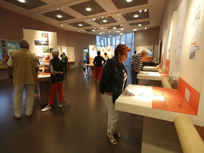 ACVL- SAINTE-MAURE DE TOURAINE - Les Passerelles Scen'O'chèvre
