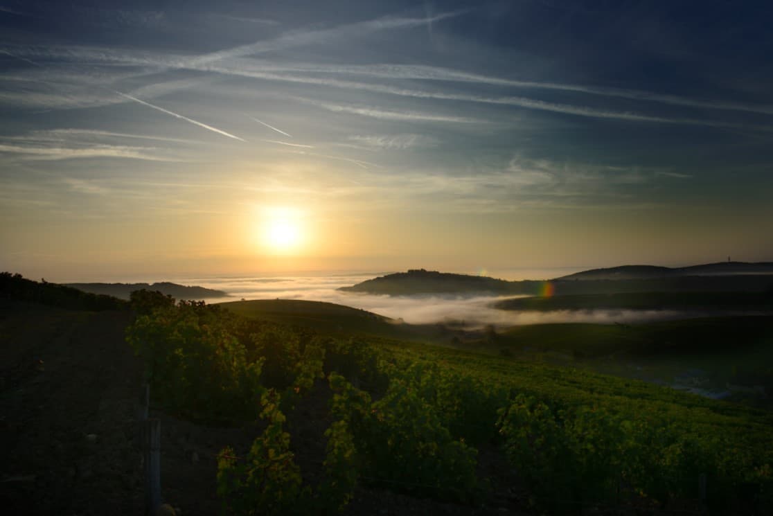 Paysage Sancerre 1