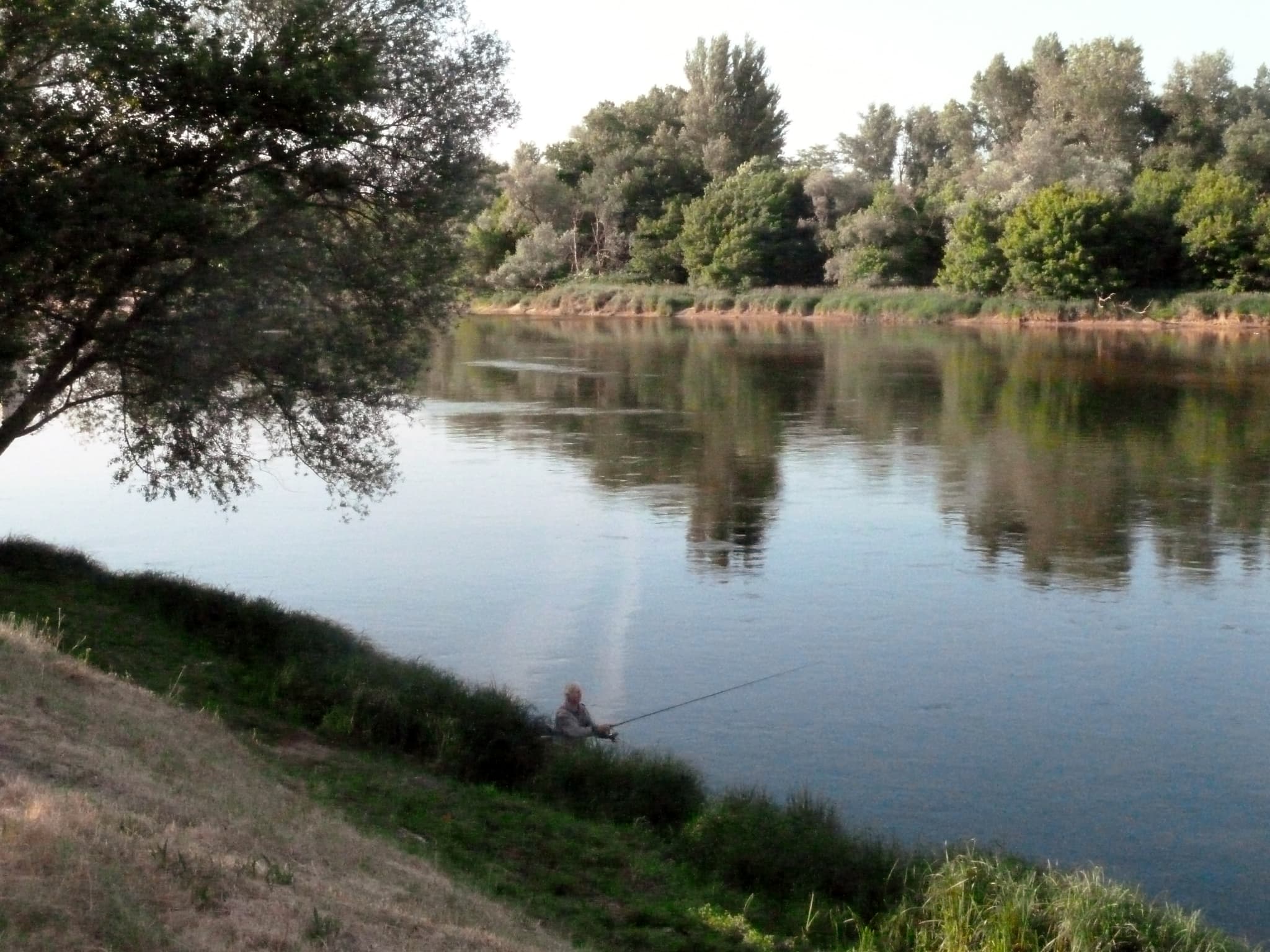Chatillon sur Loire-Pêche en Loire au camping