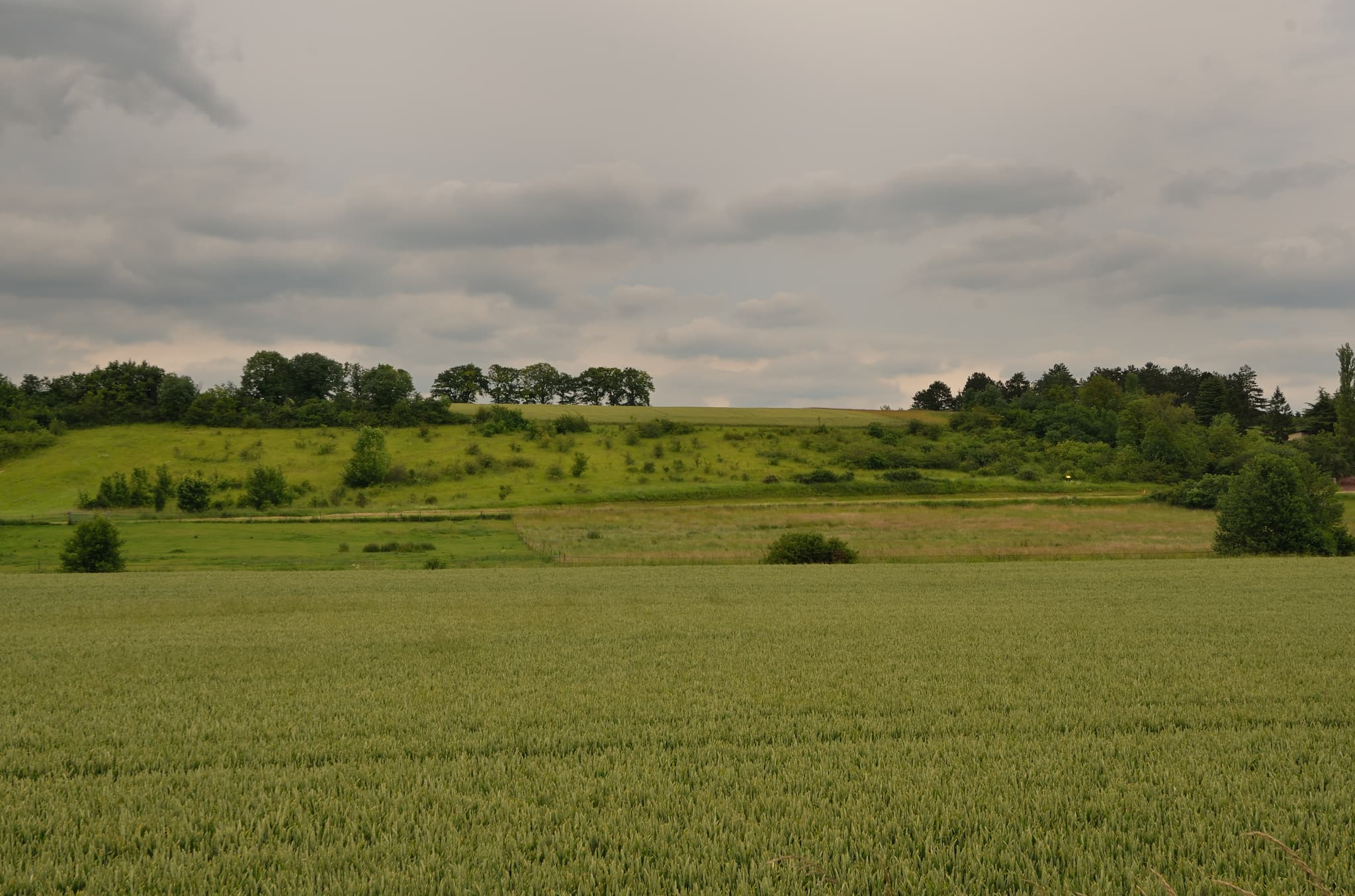 Les pelouses de Bonville