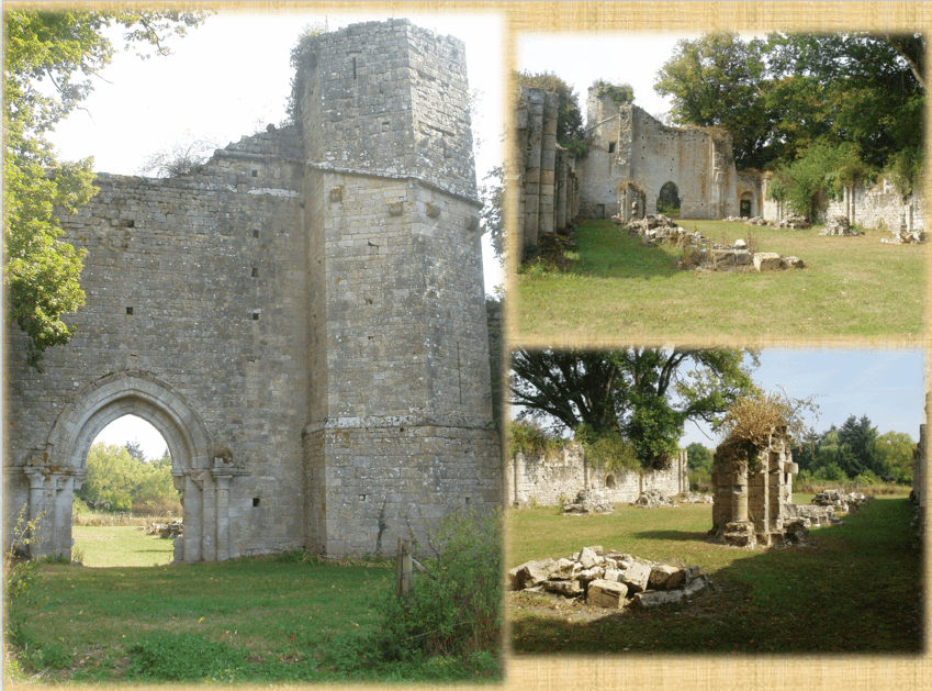 Photo-7