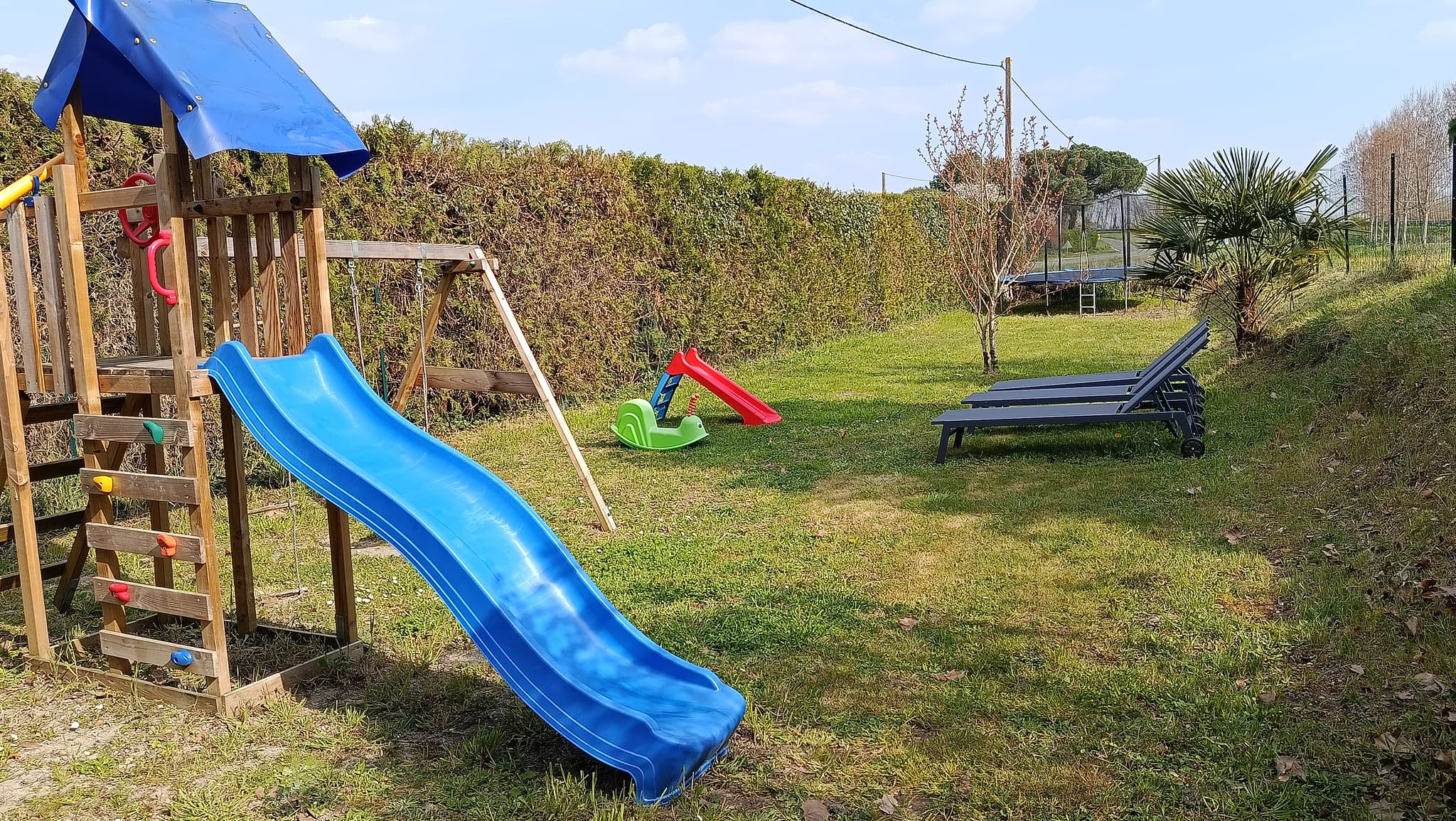 Photo jardin