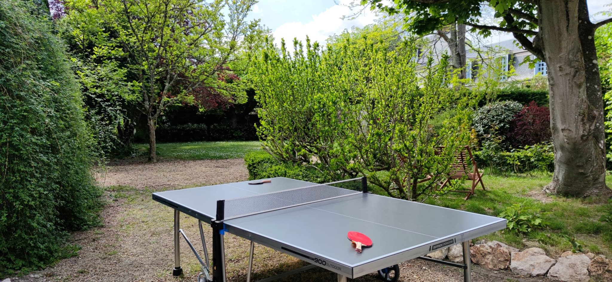 Pingpong3