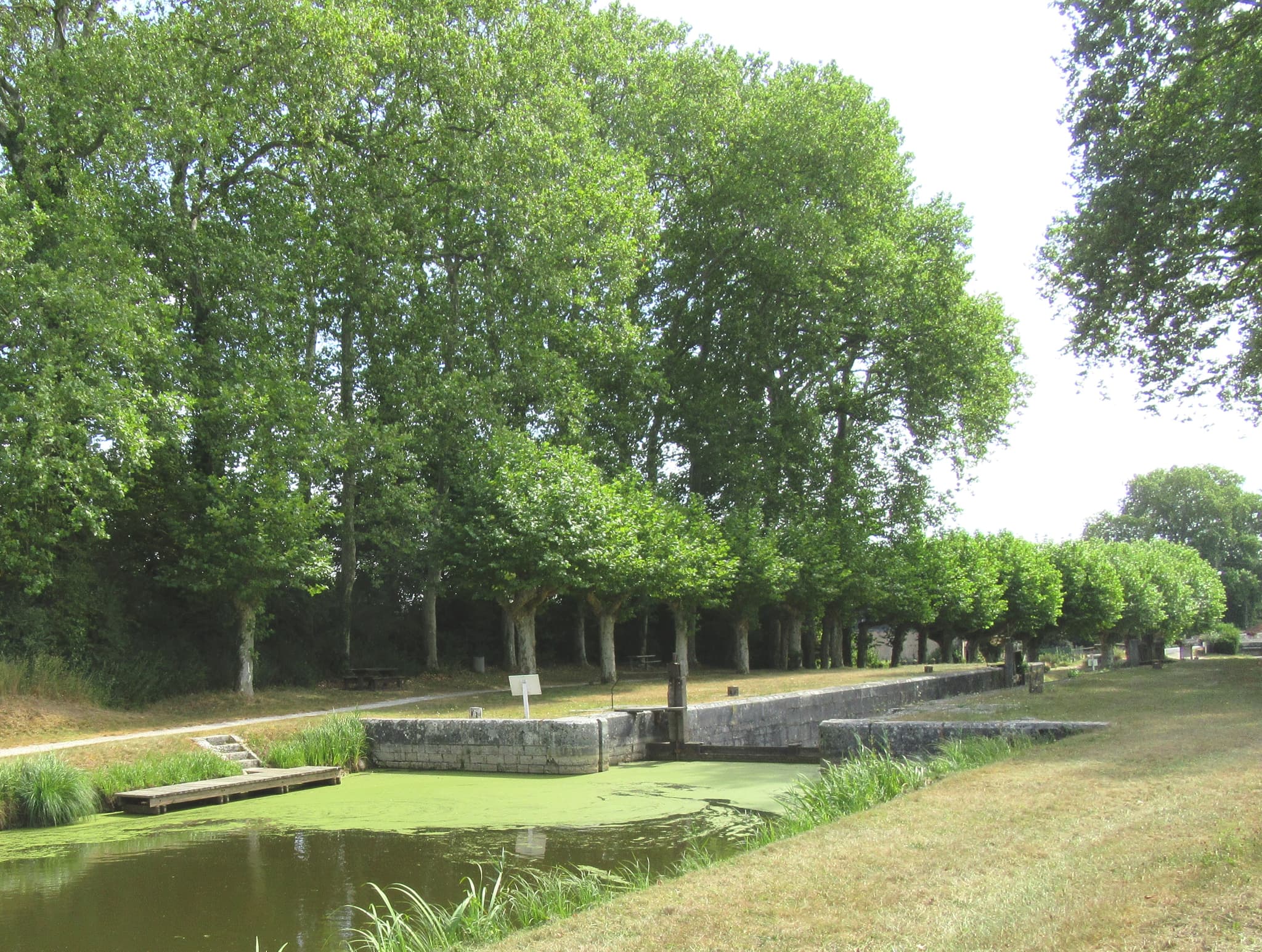 Pique-nique-Grignon