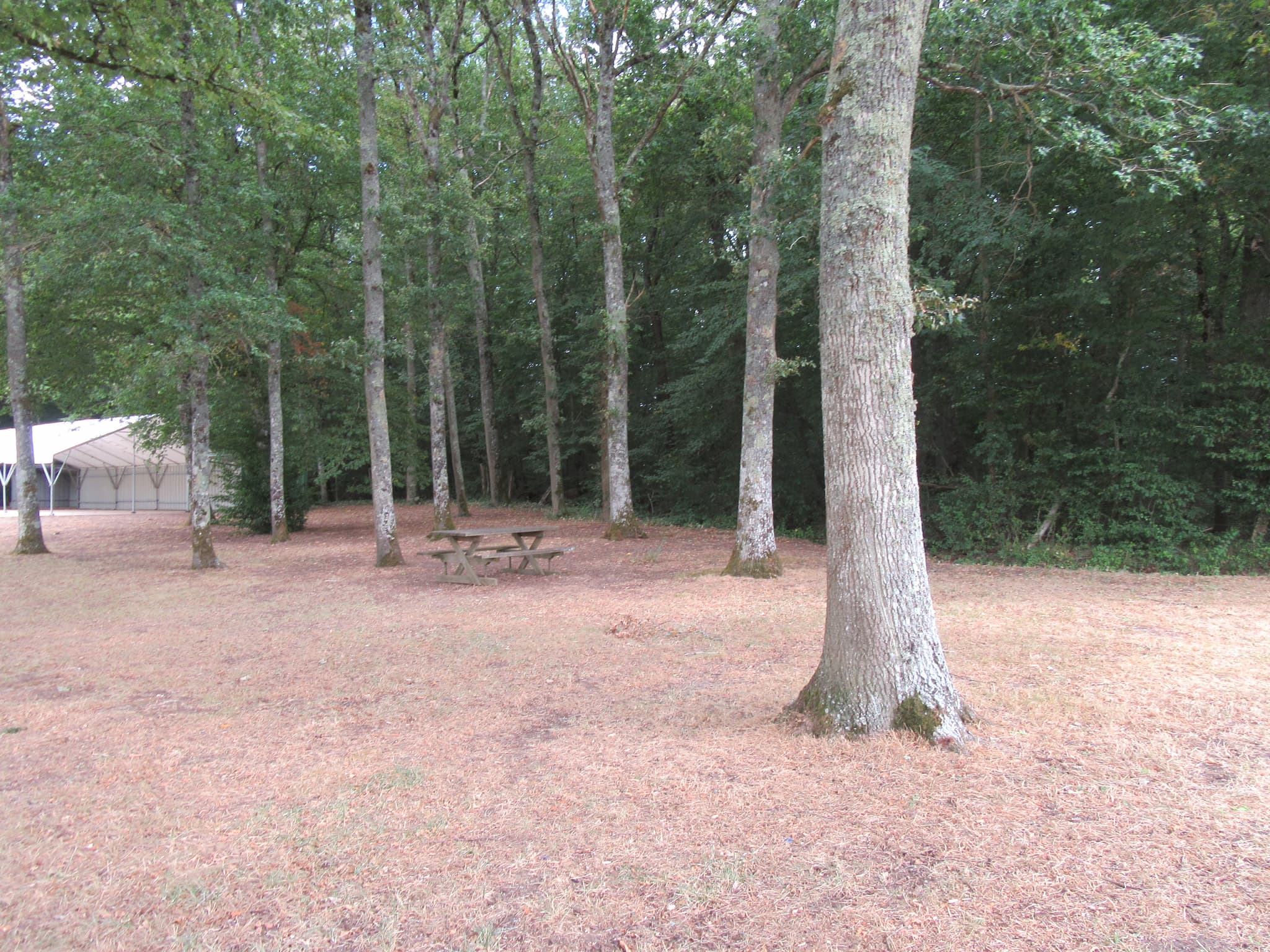 Pique-nique-etang-Montereau