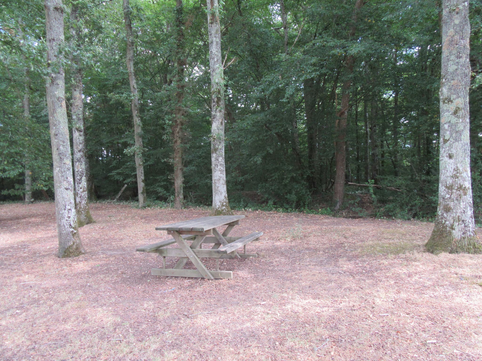 Pique-nique-etang-Montereau