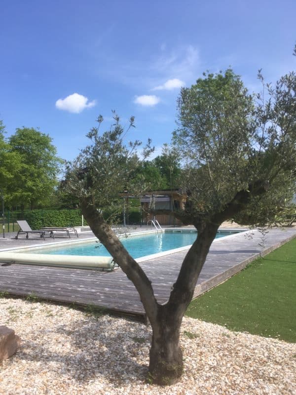Piscine-Oliviers