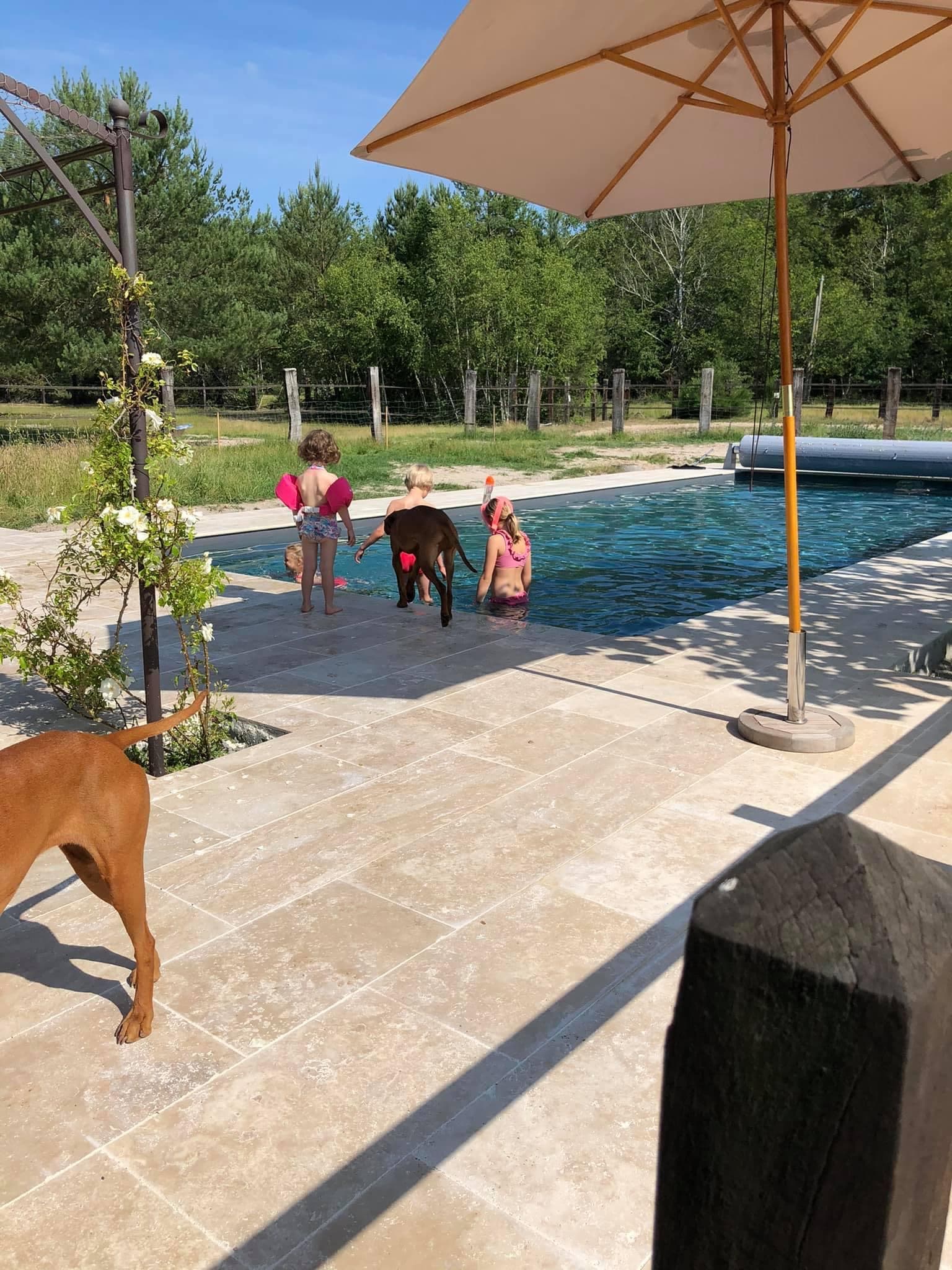 Piscine
