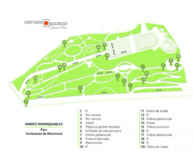 Plan- localisation arbres remarquables