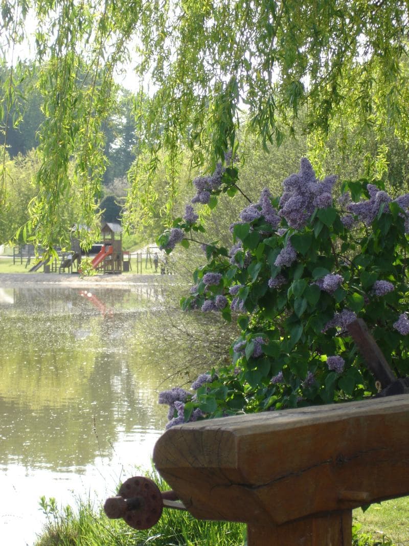 Plan d'eau Villentrois - 1