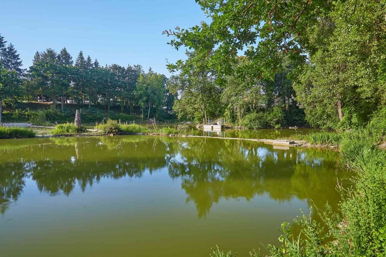 Plan d'eau du camping