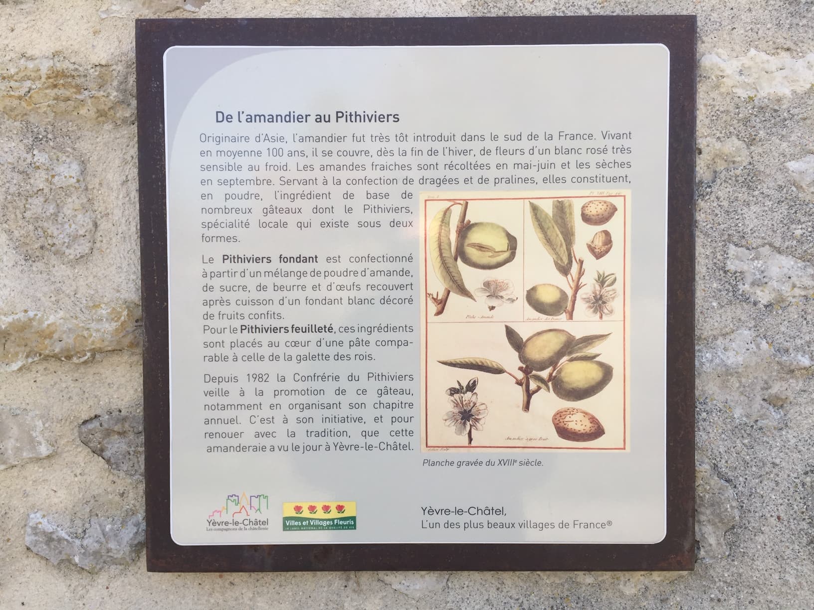 Plaque amanderaie IMG_6421