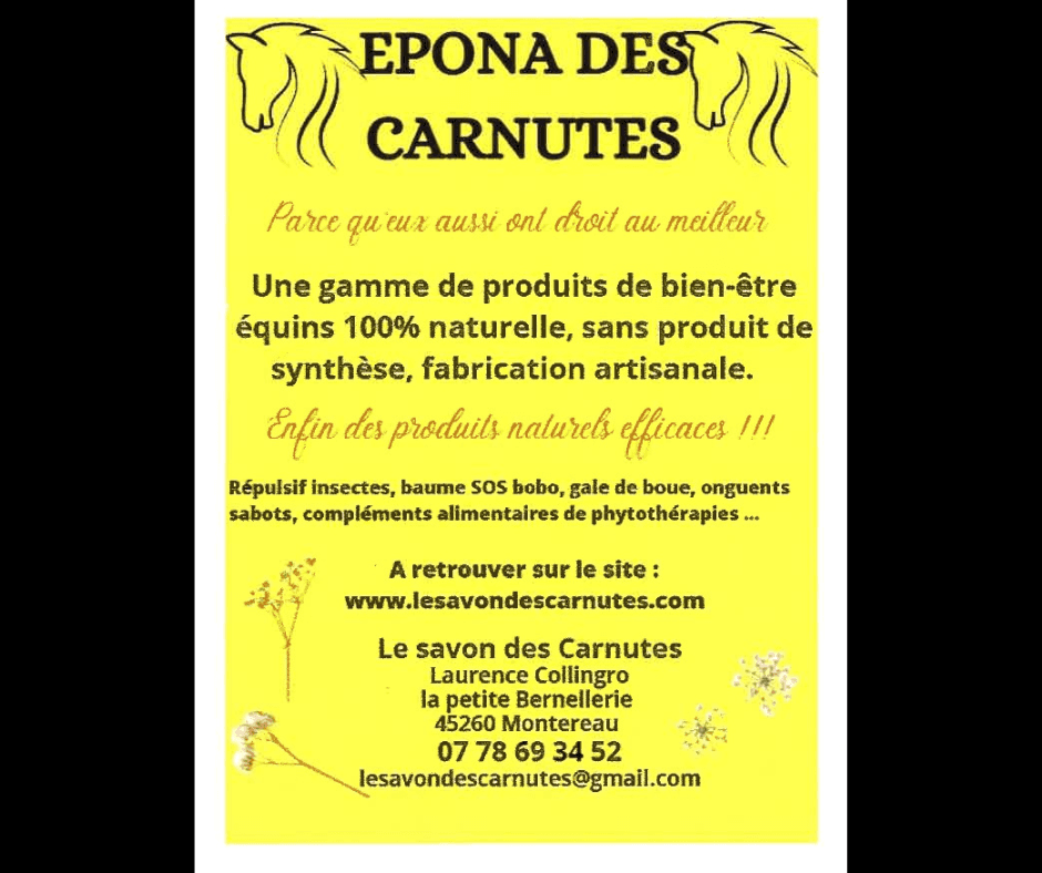 Epona des Carnutes